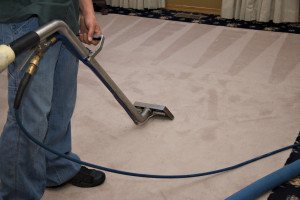 Steam Carpet Cleaning Process
